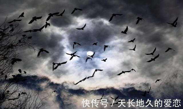 寒山寺@张继到底写错了啥,一句“月落乌啼霜满天”,就被找出三个错误?