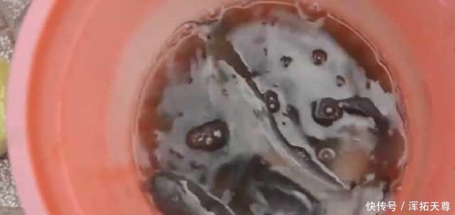 人来人往的街上,打开下水道井口,一会就钓上一桶鱼