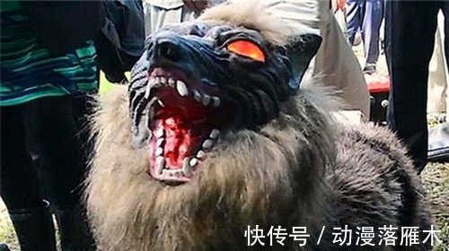 山治|海贼王1020话情报:大和是日本狼,尾田钦定山治为“海贼王双翼”