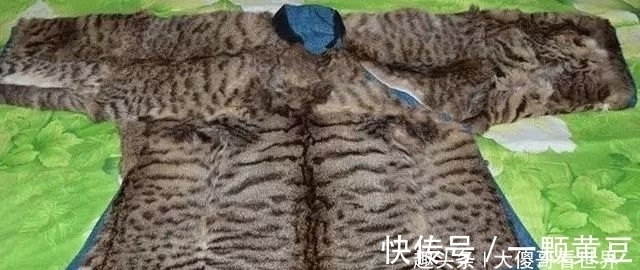 泽马皮@史书西域献给汉帝一件“神兽皮”,如今被找到!莫非是灭绝的天马