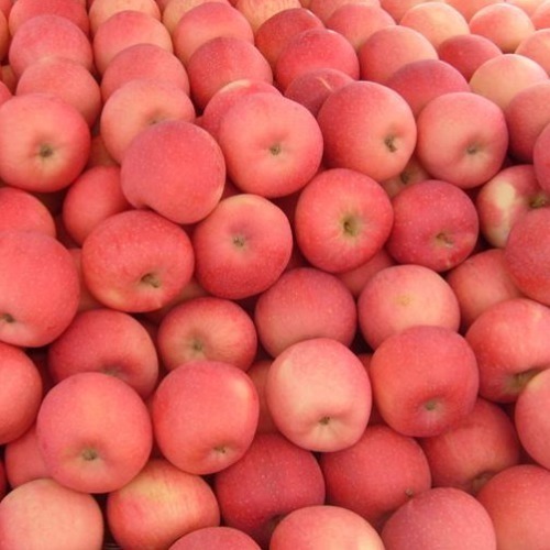 促红细胞生成素|苹果尽量少吃,或者最好不吃,别让你的无知毁了自己的身体!