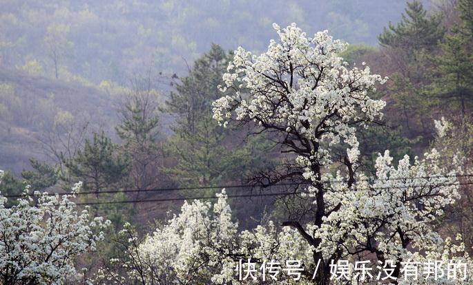 自驾游|北京平谷深处一景区，天人合一的自然景观，门票免费适合自驾