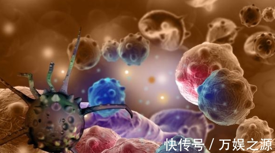 专家|挨饿能“杀死肿瘤吗”?专家称:是妄想!癌细胞害怕4件小事
