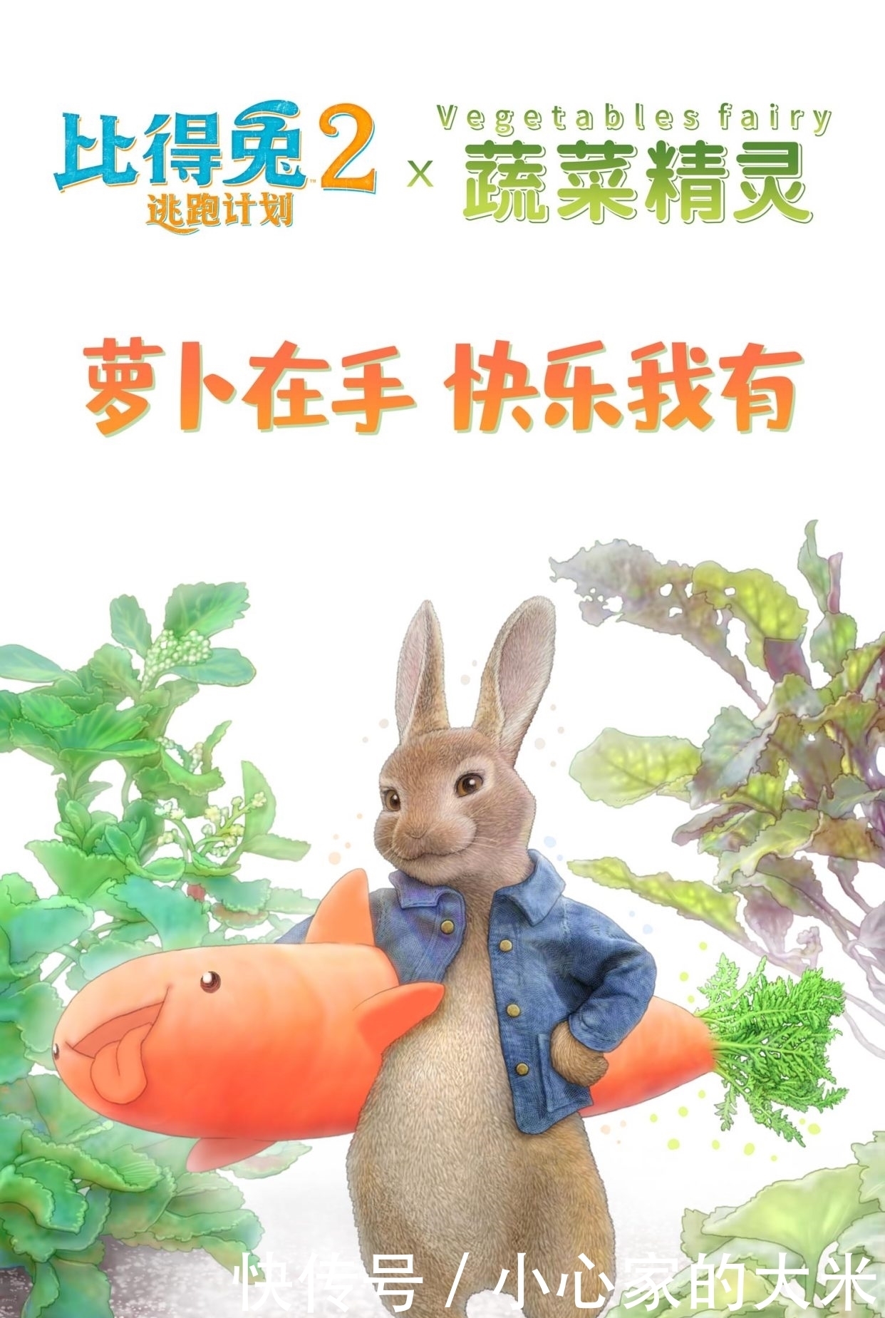 电影|比得兔与菜狗梦幻联动 《比得兔2:逃跑计划》周五上映治愈来袭