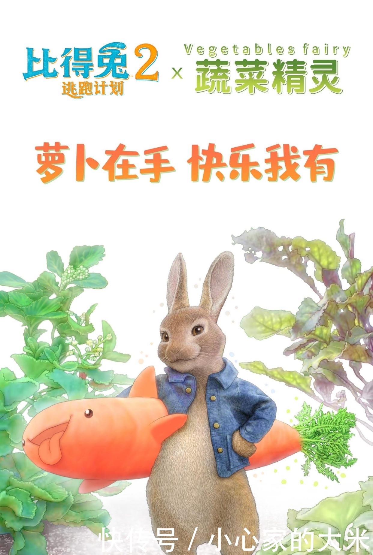 电影|比得兔与菜狗梦幻联动 《比得兔2：逃跑计划》周五上映治愈来袭