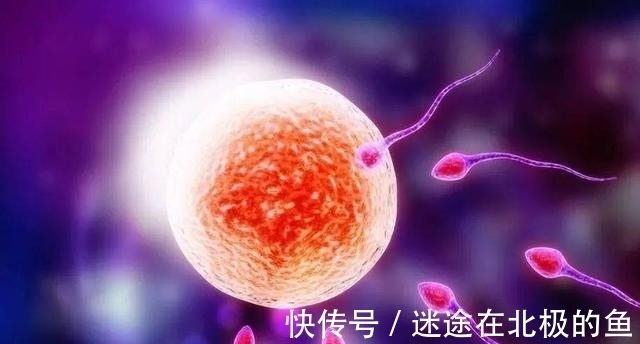 诞生#完美契合!世界上第一对男女如何诞生,为何生理、性格相互适应?