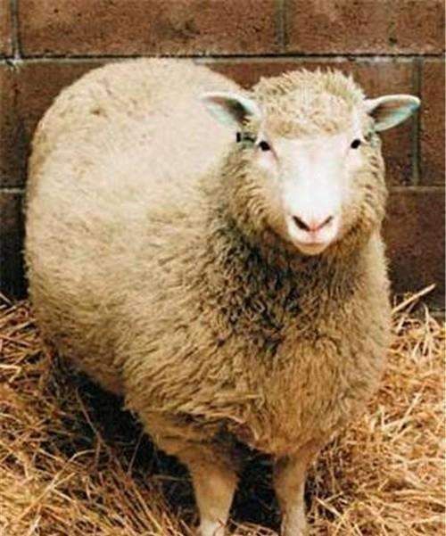 科幻!《金属的心事》:那些女性写就的科幻,充满人文关怀