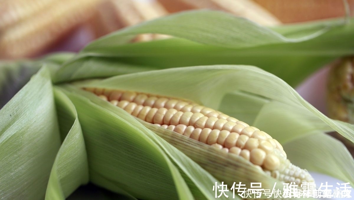 过路鱼|大面积水域钓不到大鱼怎么办注意这几点加上秘密武器就行了