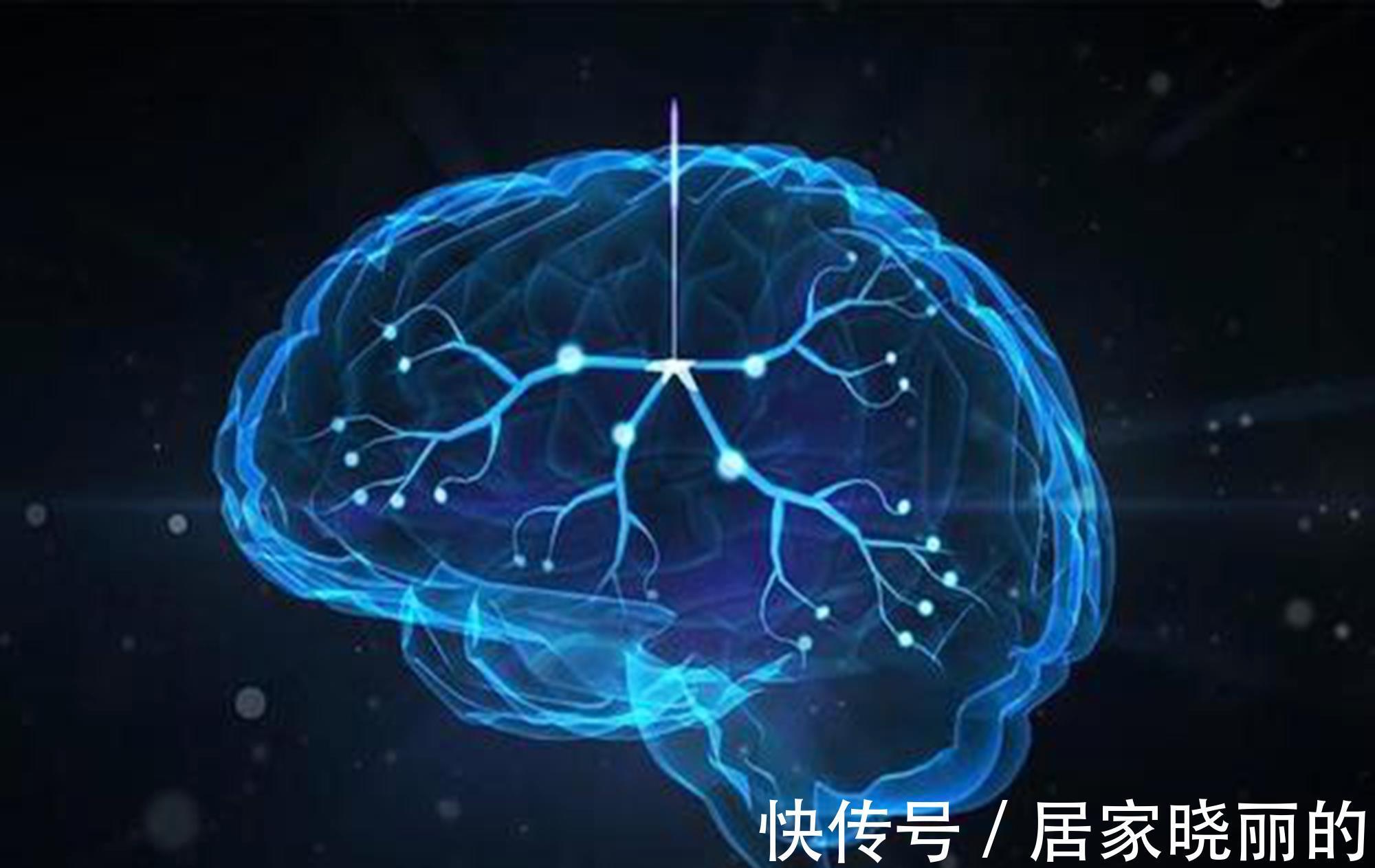 家长|斯坦福教授:真正提高娃智商的方法,反而不花钱,但少有家长做到