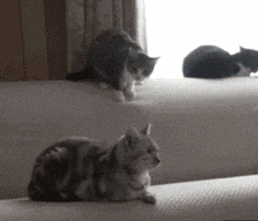 |搞笑动图:不好好走路,哥们你抽筋了么?