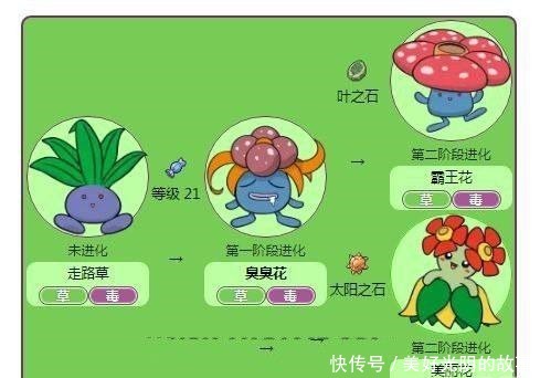 口袋妖怪|口袋妖怪盘点6只拥有两种进化形态的精灵,最后一只能毁天灭地