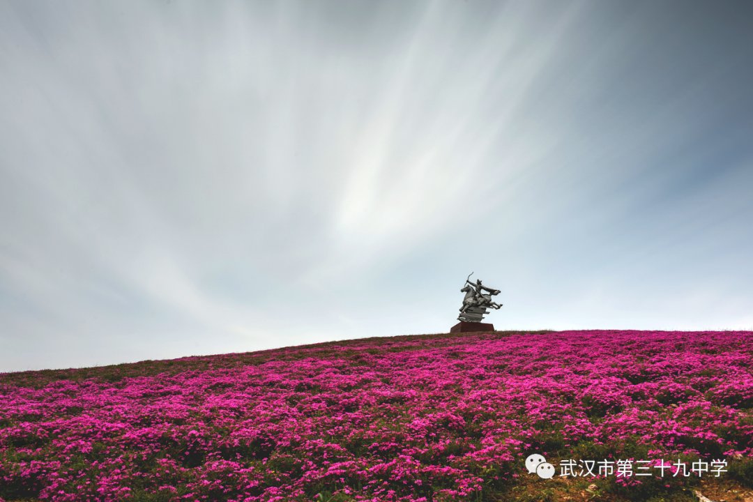 最是一年春好处 绝胜草色绿无涯