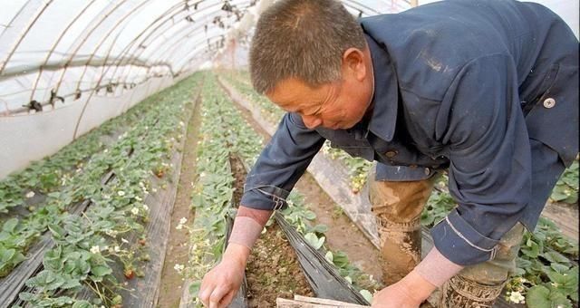 商店|中国快把老外“逼疯”了原因奇葩,只是因为国人太“勤劳”