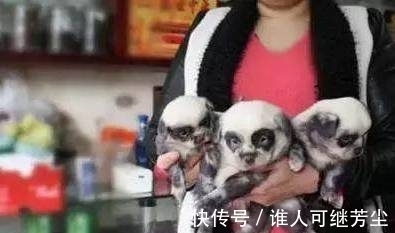 |搞笑图片幽默段子笑话:哈哈,这里是发大水了么,咋回事呢?