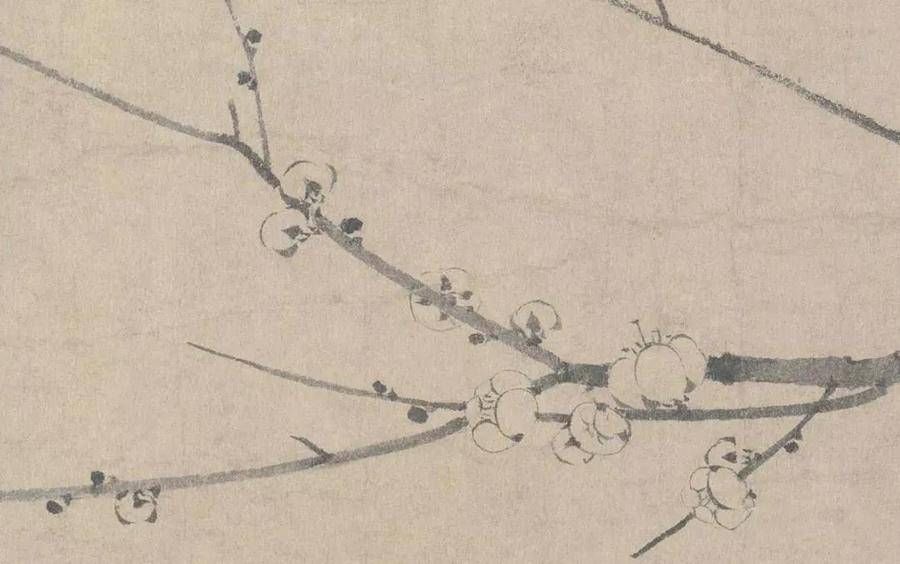 鉴赏$鉴赏|一“简”梅,极尽朴素的美