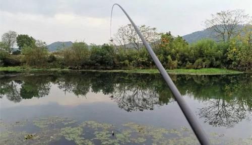 钓浮|野钓大鲫鱼的三种不常规钓法，在这些鱼情中使用，效果好得出奇！