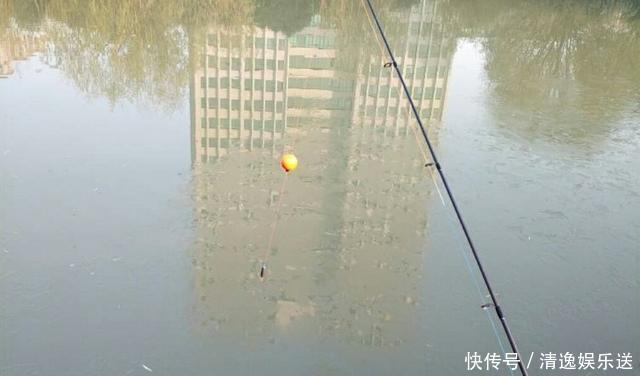 洛阳球球钓，冬季专钓深水大鲫鱼的钓法，不会我教你！