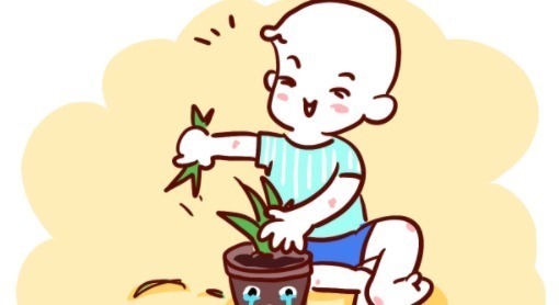 家长|想知道孩子聪不聪明，从这几件小事就能看出来，家长就偷着乐吧