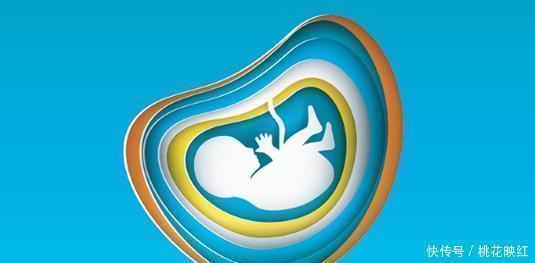 肚皮|孕妇的肚皮到底有多薄为了肚皮的安全，3件事要少做！