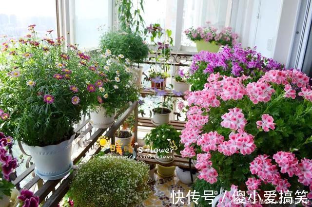 花园|3平米小阳台，也能变花园，有露台、阳台的千万别浪费！