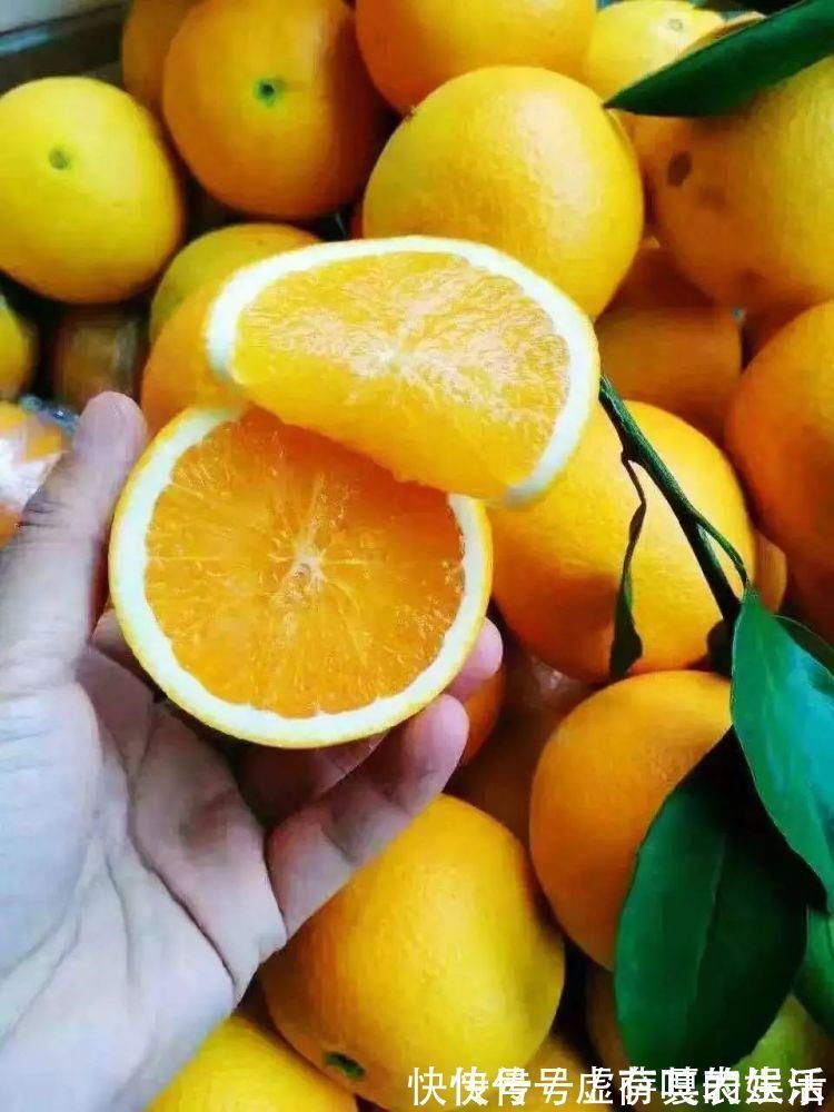 养花|老花匠:扔4种“东西”,就是扔钱,比花肥还好用,不花钱!