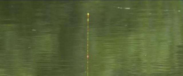 钓鱼“黑”午时不是鱼儿难钓获,而是你方法不对路