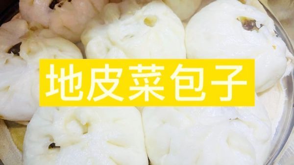 地皮菜包子