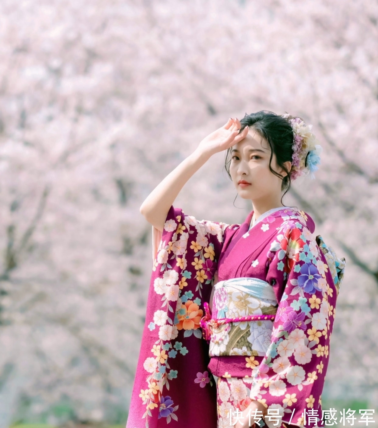 犬豚!七言格律:春飞玉宇空来鹤,酒兴山川乱卷云