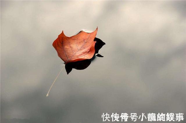 十地!这两位得道高僧, 别人不骂却专拿佛菩萨开涮