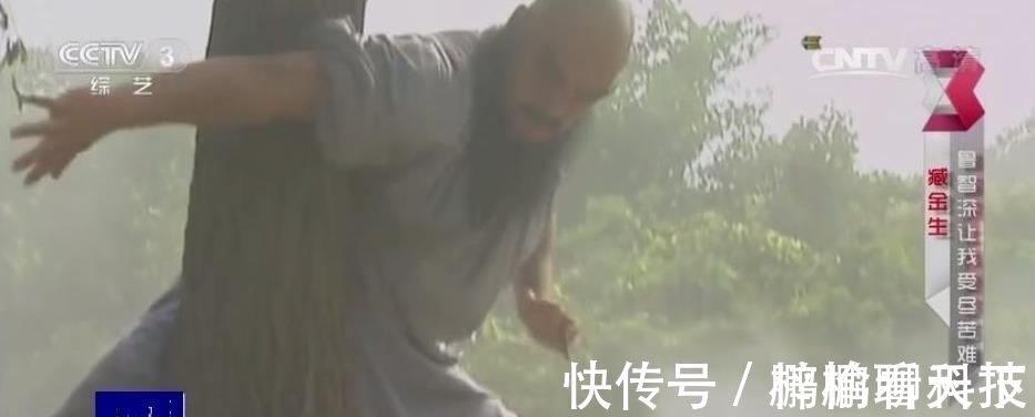 臧金生@如果鲁智深过景阳冈,能不能徒手打死老虎?