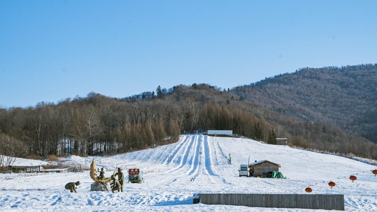 老年|在寂静雪原 遇见雪花真实的形状