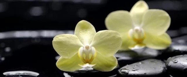 险夷@人生在世有三忌,碰见就躲,不要高估自己的能力