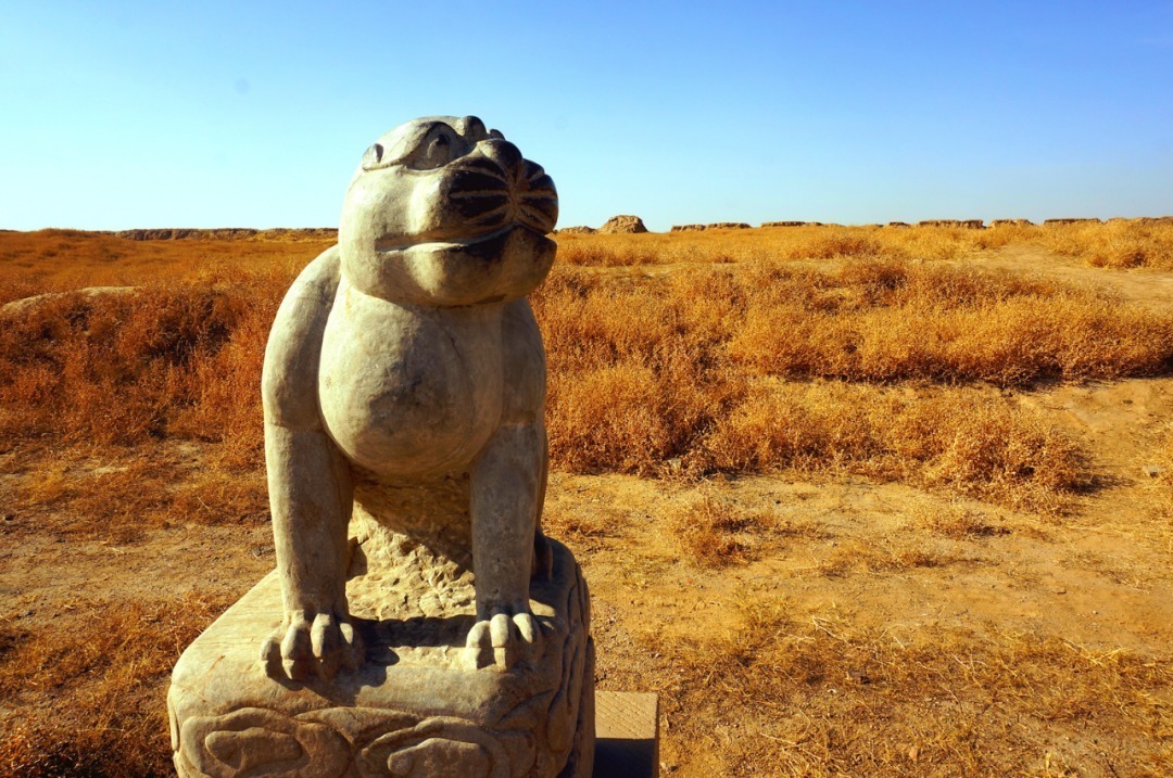 脚踏|一路银川,水洞沟遗址脚踏黄土来,机关四起藏兵洞