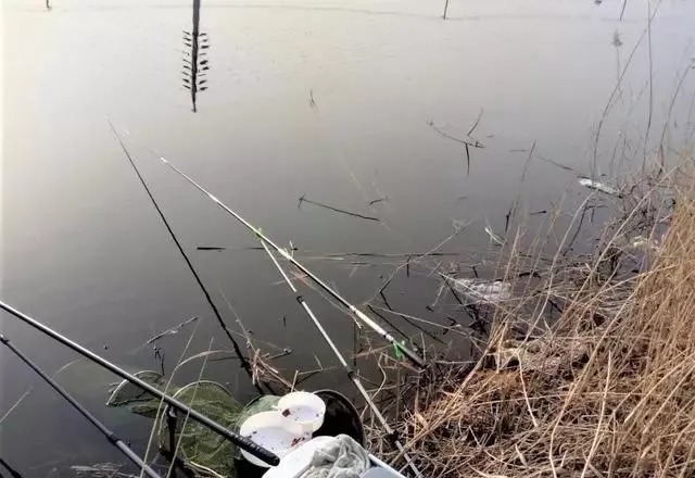 冬季哪些天气能钓鱼,哪些天气钓不到鱼?简单2点,让你收获满满