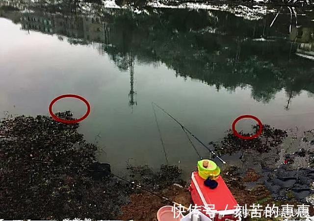 应对冬季特有的鱼情变化,掌握这几点大鲫鱼连竿上!