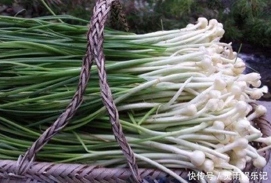 稀罕|农村人常吃的野菜,城里人当“稀罕货”,10元一斤不一定买得到