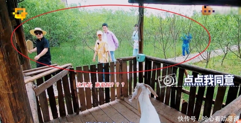 快乐家族|《快本》下期放大招,改变模式联动蘑菇屋,看到嘉宾:收视要爆!