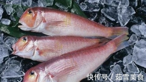 食肉鱼|宝宝吃鱼更聪明?这7种鱼,一口都不能给宝宝吃!