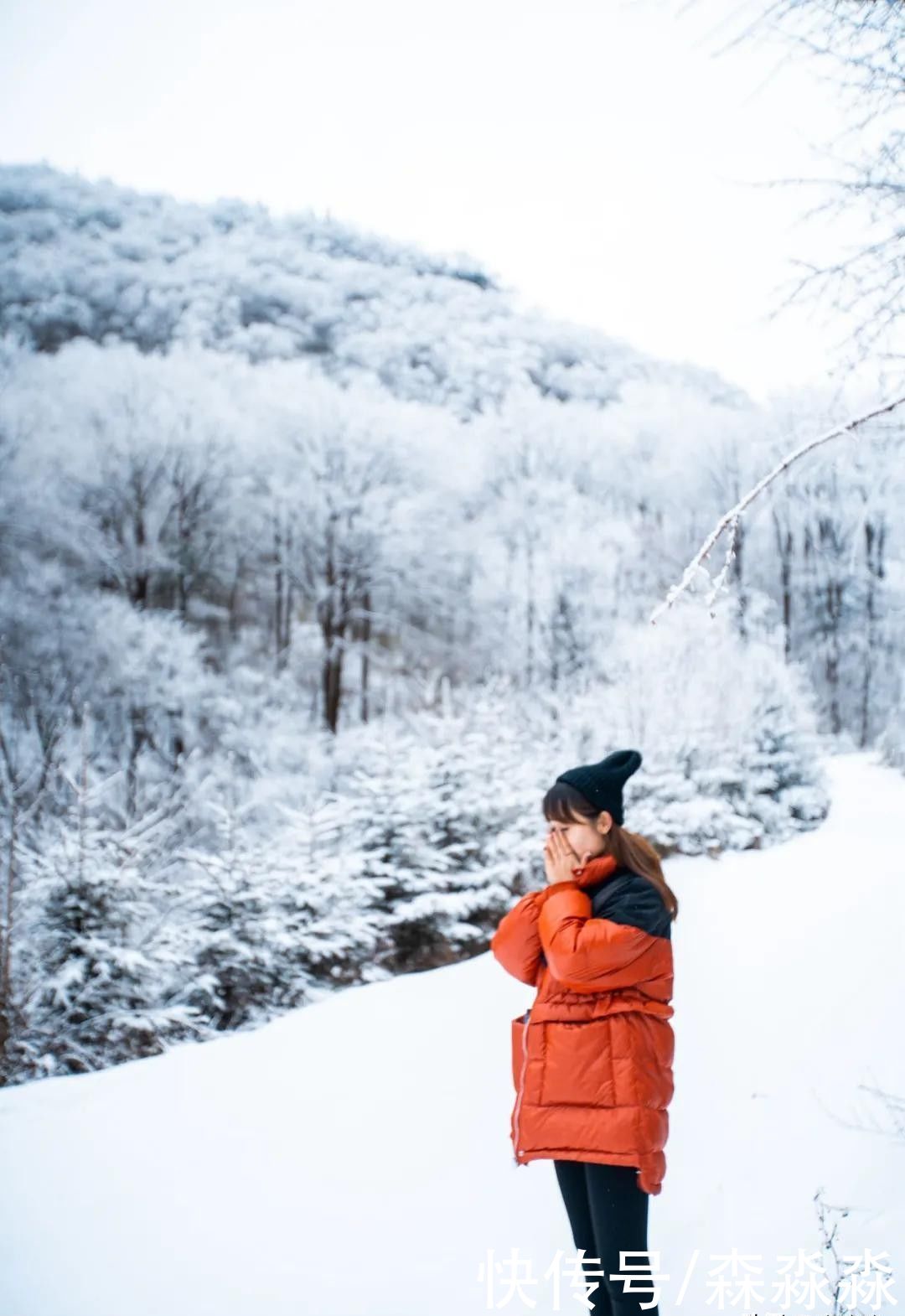 山下|十里风雪天涯路，秦岭雪乡留下吧，紫柏山下是我家