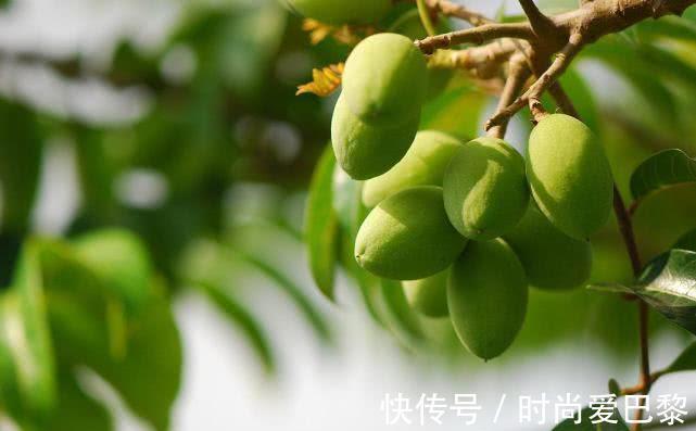 橘红|肺不好的人，把1种水果晒干泡水喝，清除肺部垃圾，养肺更润肺