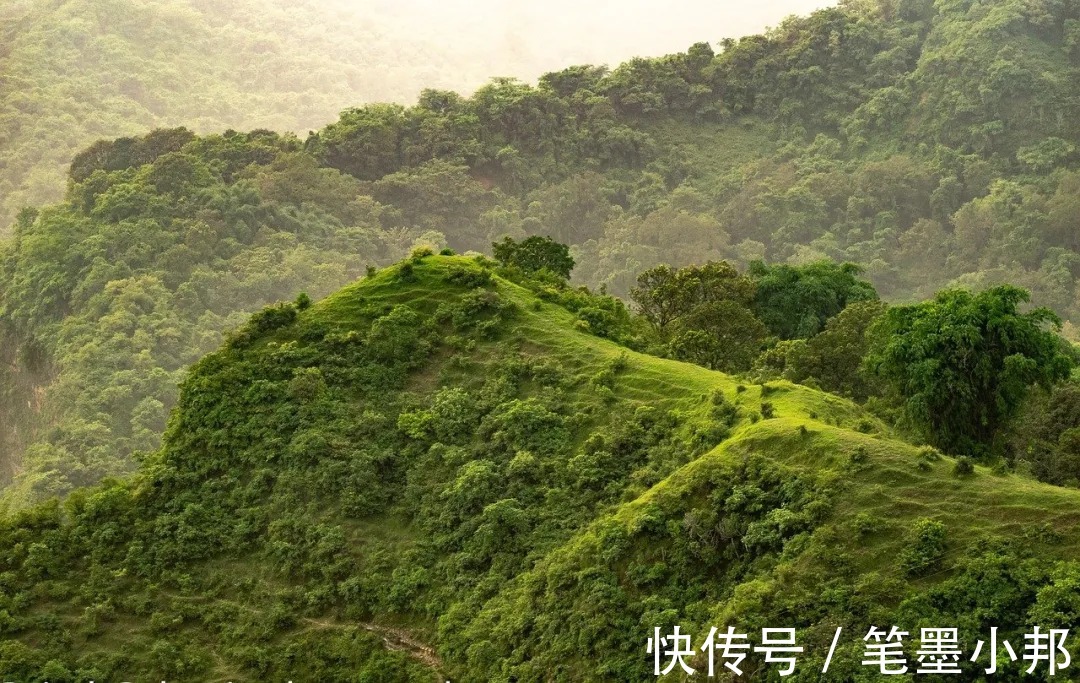 开学第一个月，家长做好这四件事很关键！|邦你学 | 学习兴趣