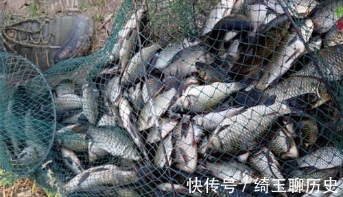 蚯蚓|天冷了,饵料这样搭配鲫鱼最喜欢,别不信,不怕大鲫鱼不上钩!