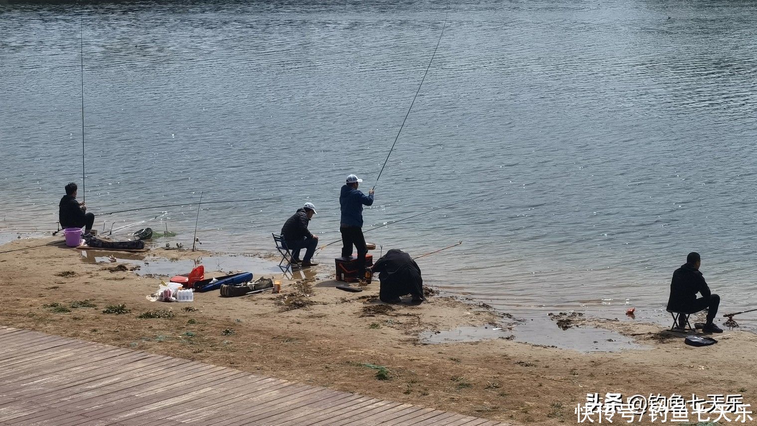 到处不让钓鱼，郑州却做出了榜样！河道划定垂钓区，钓友直呼过瘾