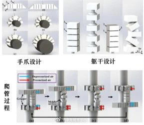 牛！高校研制出3D打印软性机器人，可应用于人工肌肉