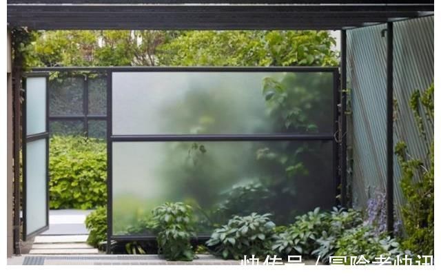 石笼网|砌院墙不用砖头,直接用磨砂玻璃,衬着绿植美成一幅画!