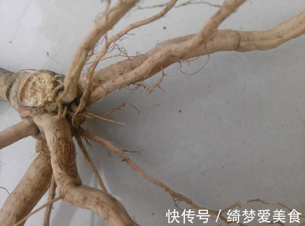本草纲目|单方气死名医！一把丝瓜根儿，治好陈年腰痛，农村土招值得研究