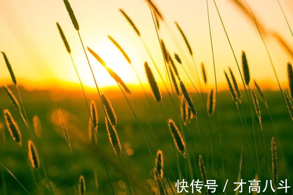 淡泊@12句处世箴言,道破人心(值得收藏)