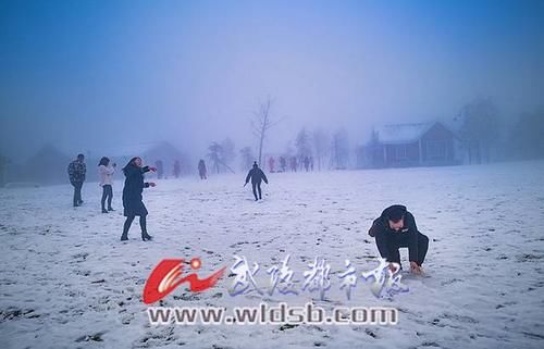 赏景|近段时间5.8万游客到川河盖滑雪赏景