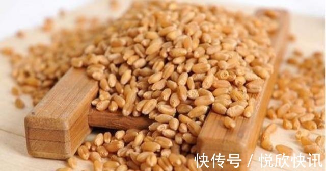 自制一款经济实用的小麦诱饵，会用的钓鱼人不多