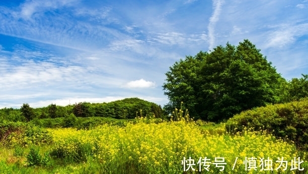 助阵|8天内，桃花如雨，旧情难忘，爱神助阵，主动挽留，携手相伴余生